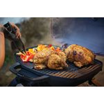 BBQ TRAVELQ 285